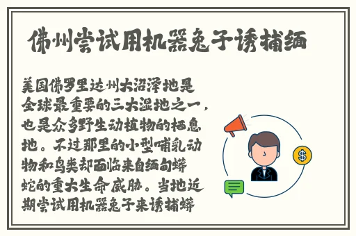 无人区码二码乱码区别在哪